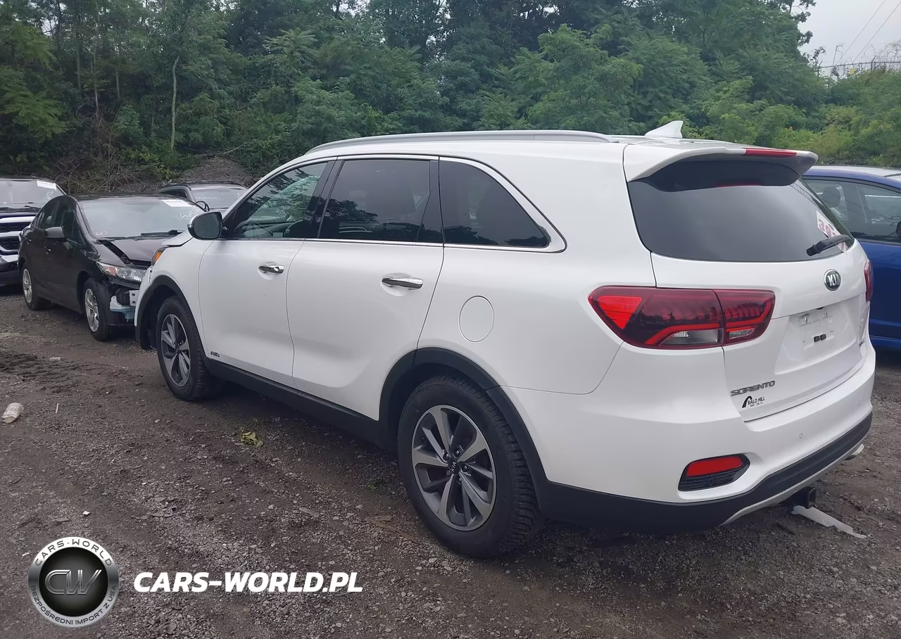 2019 Kia Sorento 3.3L Ex VIN:5XYPHDA53KG534860 - 3