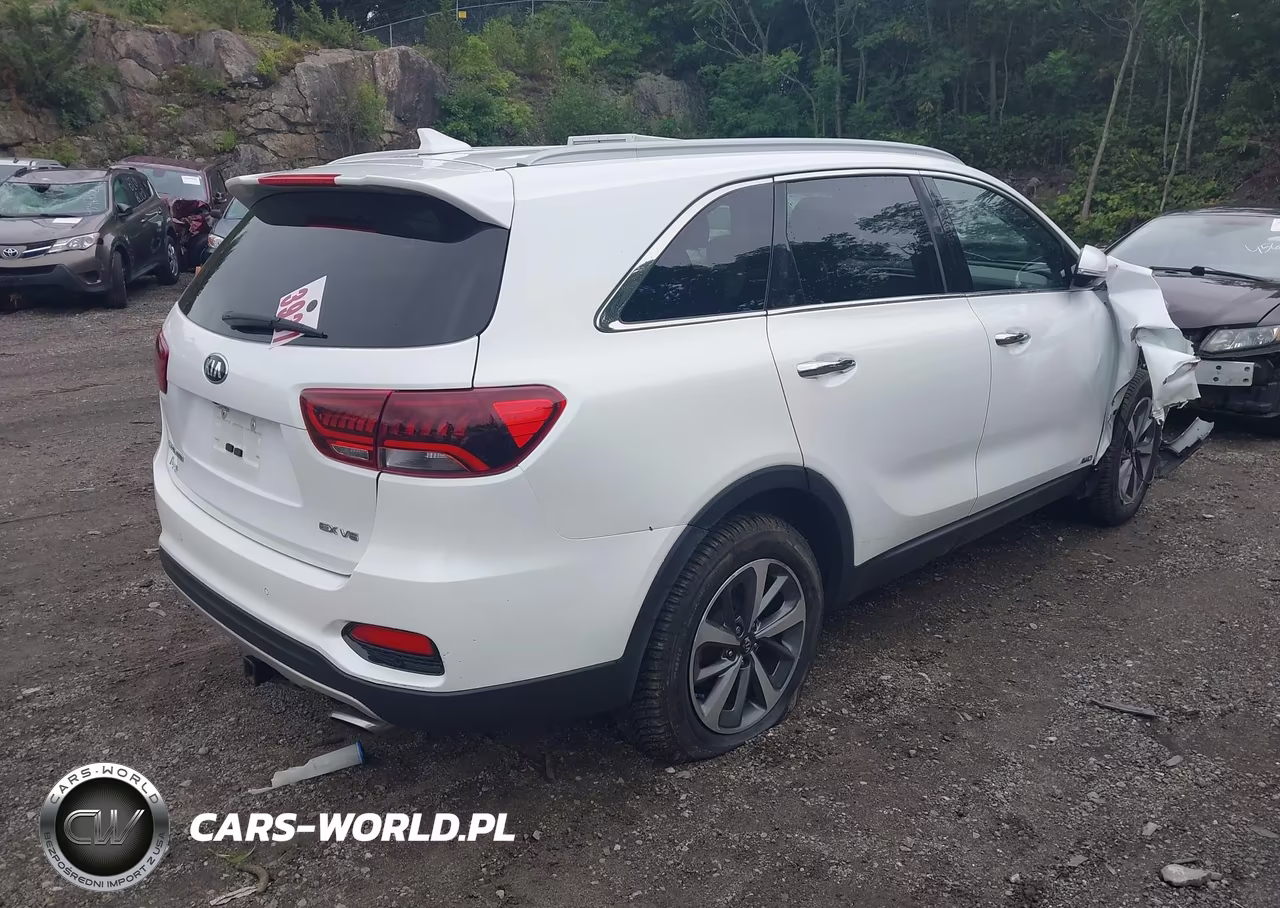 2019 Kia Sorento 3.3L Ex VIN:5XYPHDA53KG534860 - 4