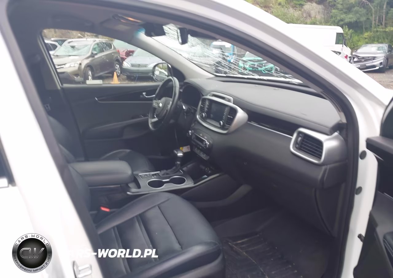 2019 Kia Sorento 3.3L Ex VIN:5XYPHDA53KG534860 - 5