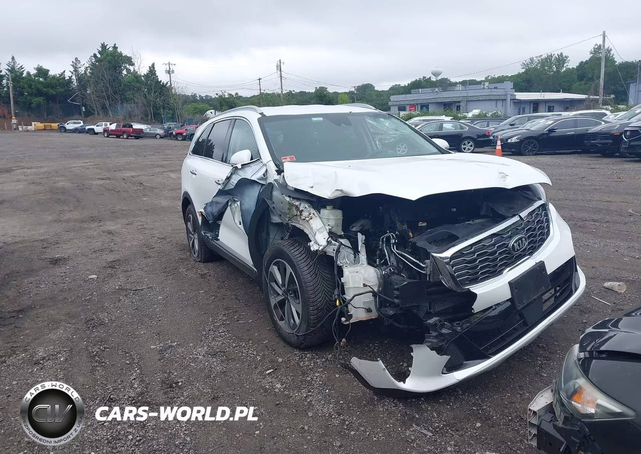 2019 Kia Sorento 3.3L Ex VIN:5XYPHDA53KG534860 - 6