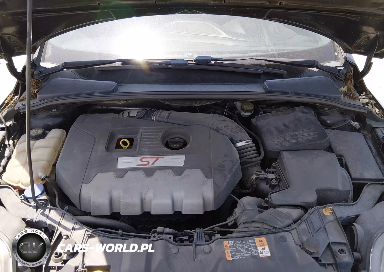 2014 Ford Focus St VIN:1FADP3L90EL372166 - 10