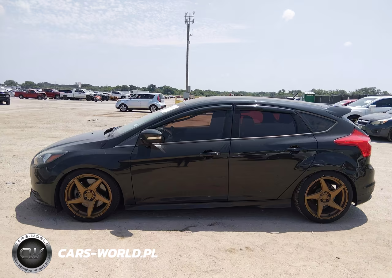 2014 Ford Focus St VIN:1FADP3L90EL372166 - 14