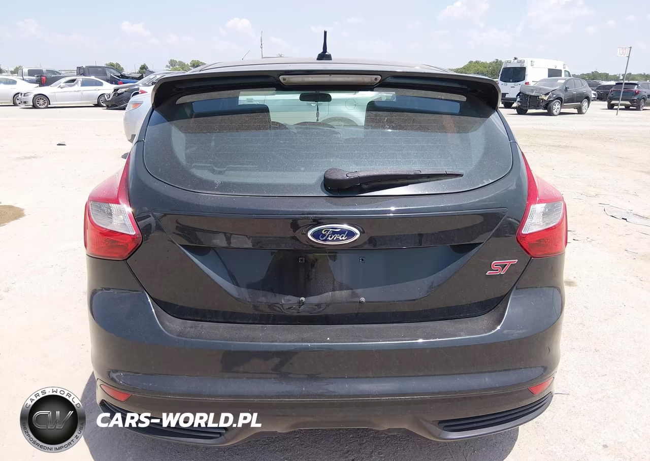 2014 Ford Focus St VIN:1FADP3L90EL372166 - 16