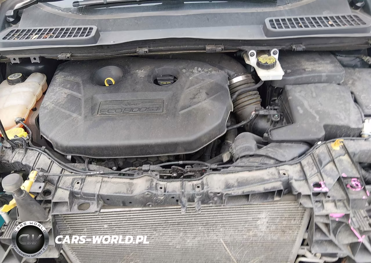 2013 Ford Escape Sel VIN:1FMCU0H95DUD88373 - 10