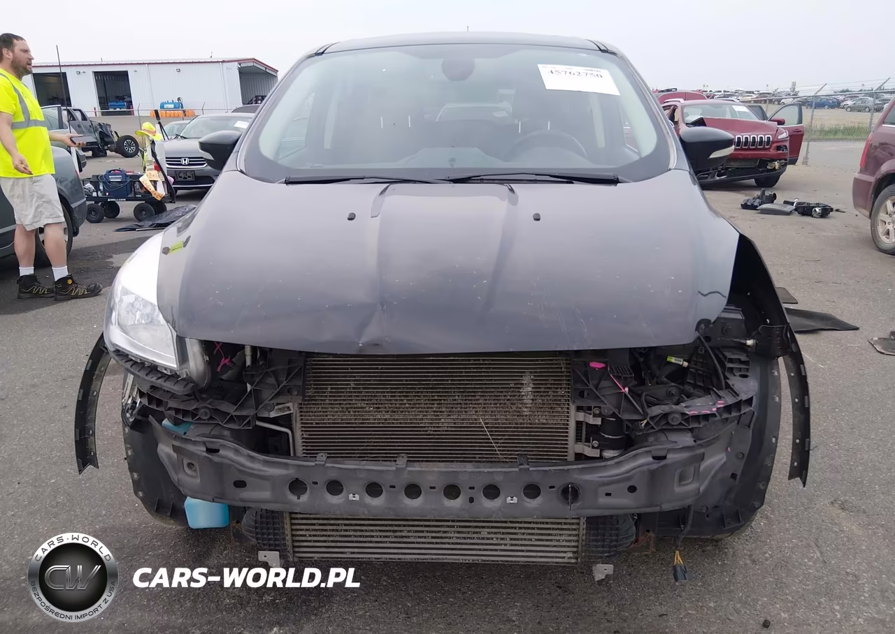 2013 Ford Escape Sel VIN:1FMCU0H95DUD88373 - 12