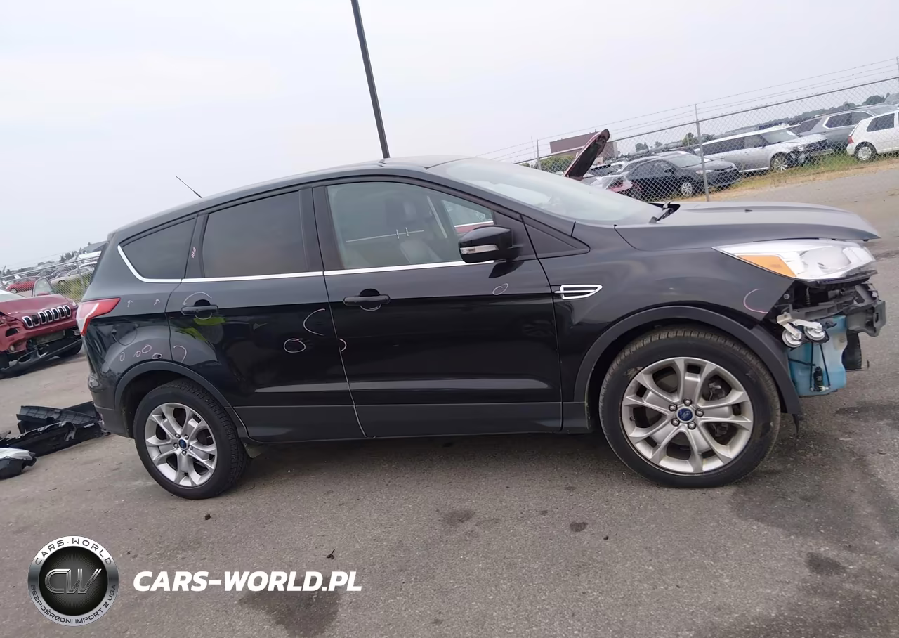 2013 Ford Escape Sel VIN:1FMCU0H95DUD88373 - 13