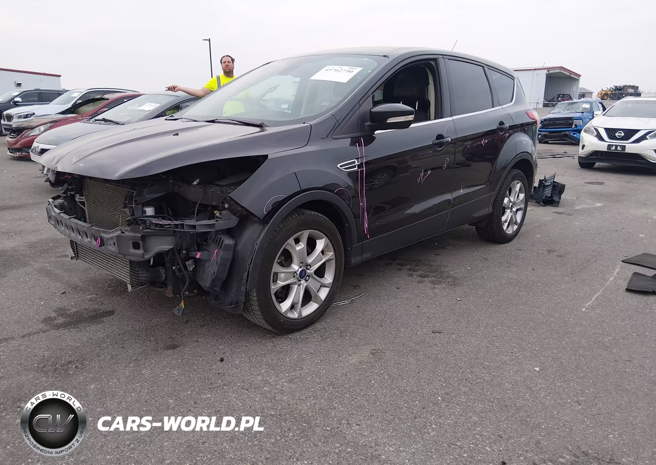 2013 Ford Escape Sel VIN:1FMCU0H95DUD88373 - 2
