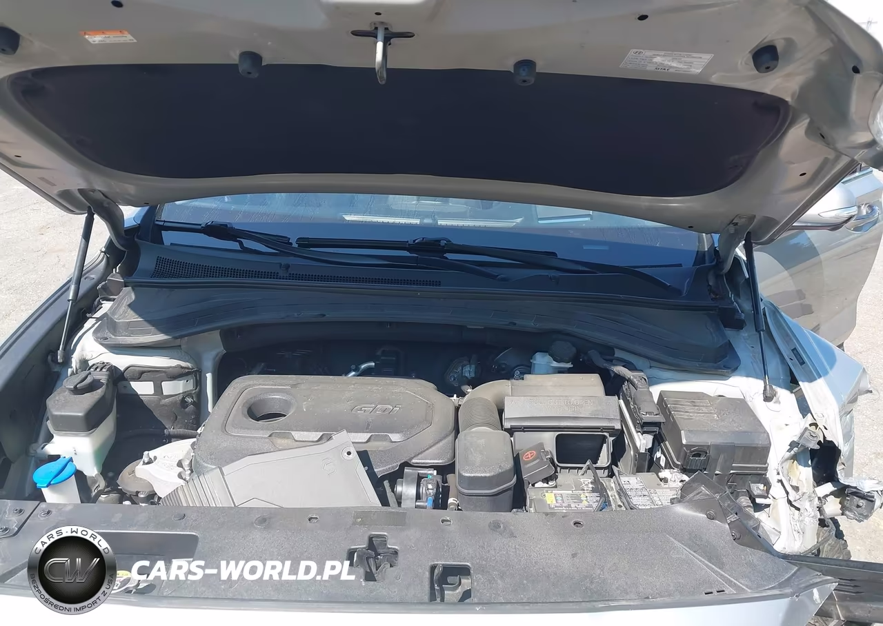 2020 Hyundai Santa Fe Limited VIN:5NMS53AD1LH202783 - 10