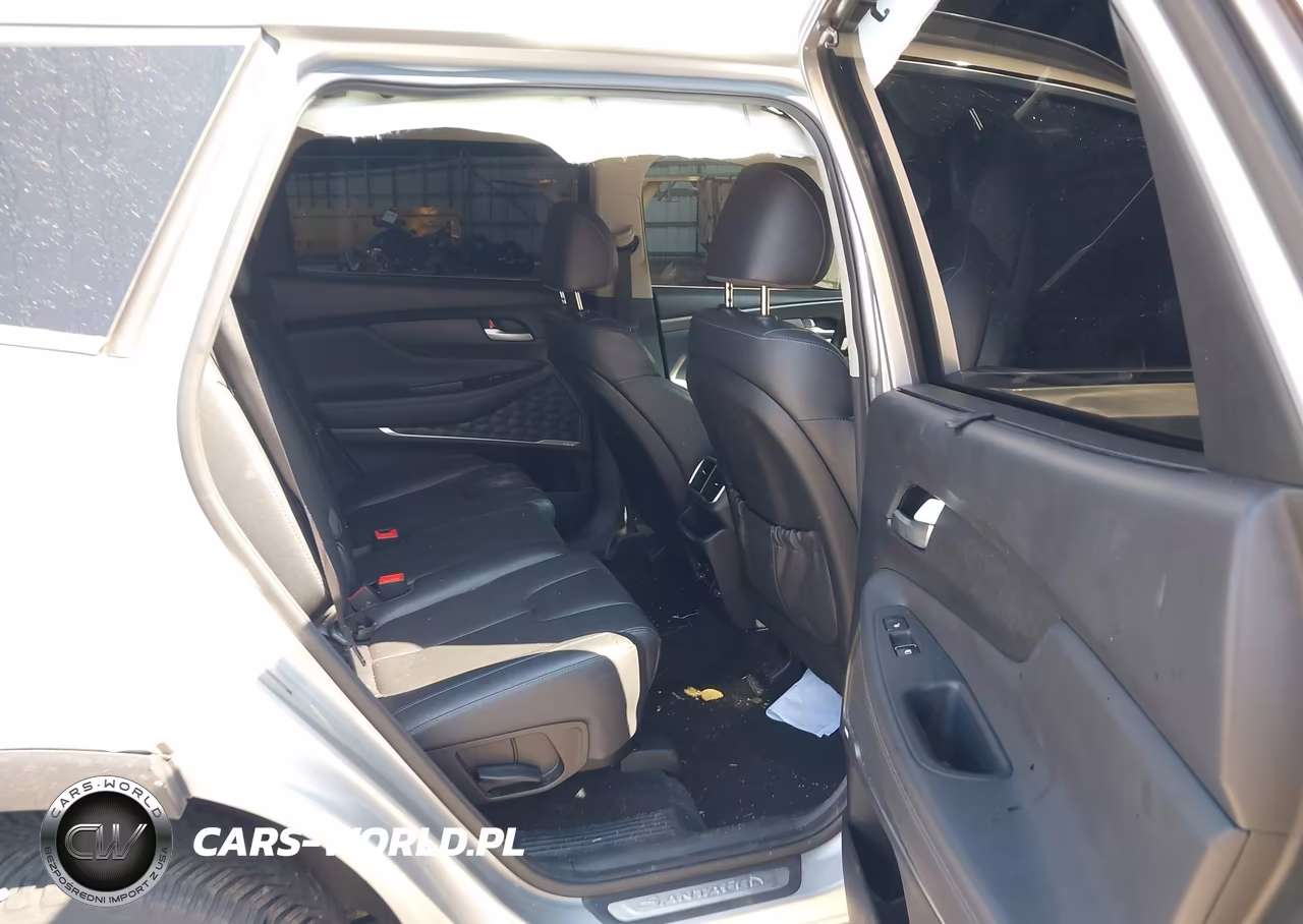 2020 Hyundai Santa Fe Limited VIN:5NMS53AD1LH202783 - 8