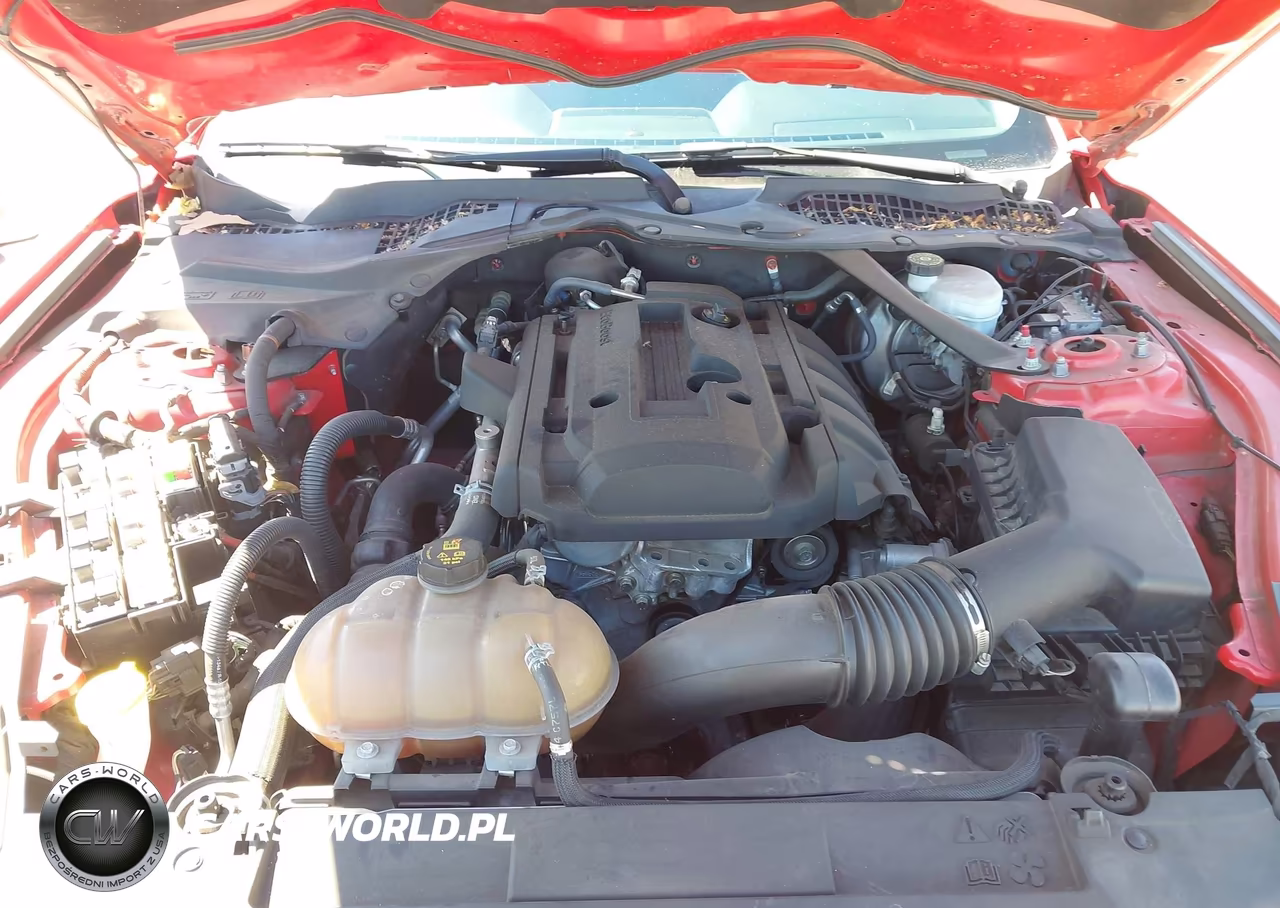 2019 Ford Mustang Ecoboost Premium VIN:1FATP8UH0K5171026 - 10