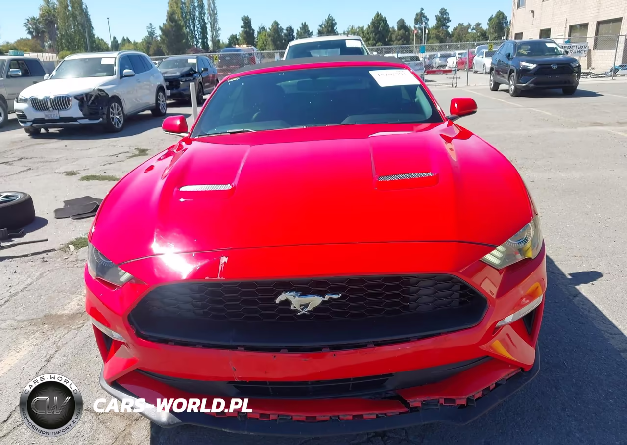 2019 Ford Mustang Ecoboost Premium VIN:1FATP8UH0K5171026 - 13