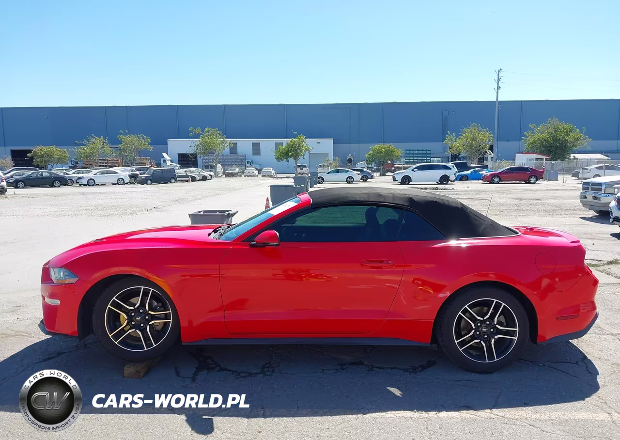 2019 Ford Mustang Ecoboost Premium VIN:1FATP8UH0K5171026 - 15