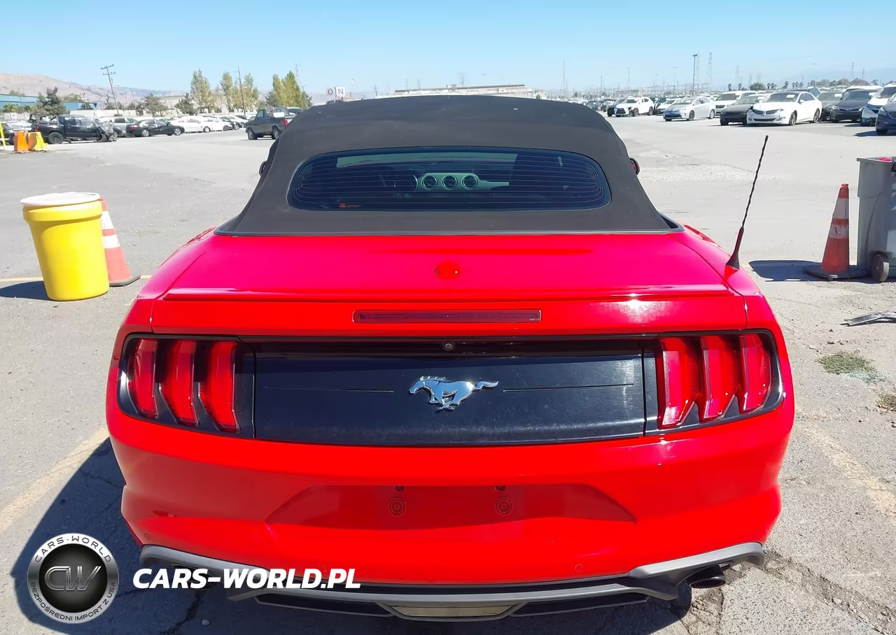 2019 Ford Mustang Ecoboost Premium VIN:1FATP8UH0K5171026 - 17