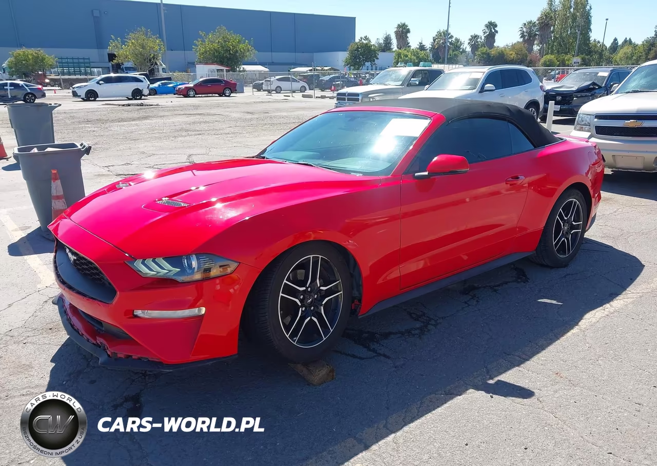 2019 Ford Mustang Ecoboost Premium VIN:1FATP8UH0K5171026 - 2