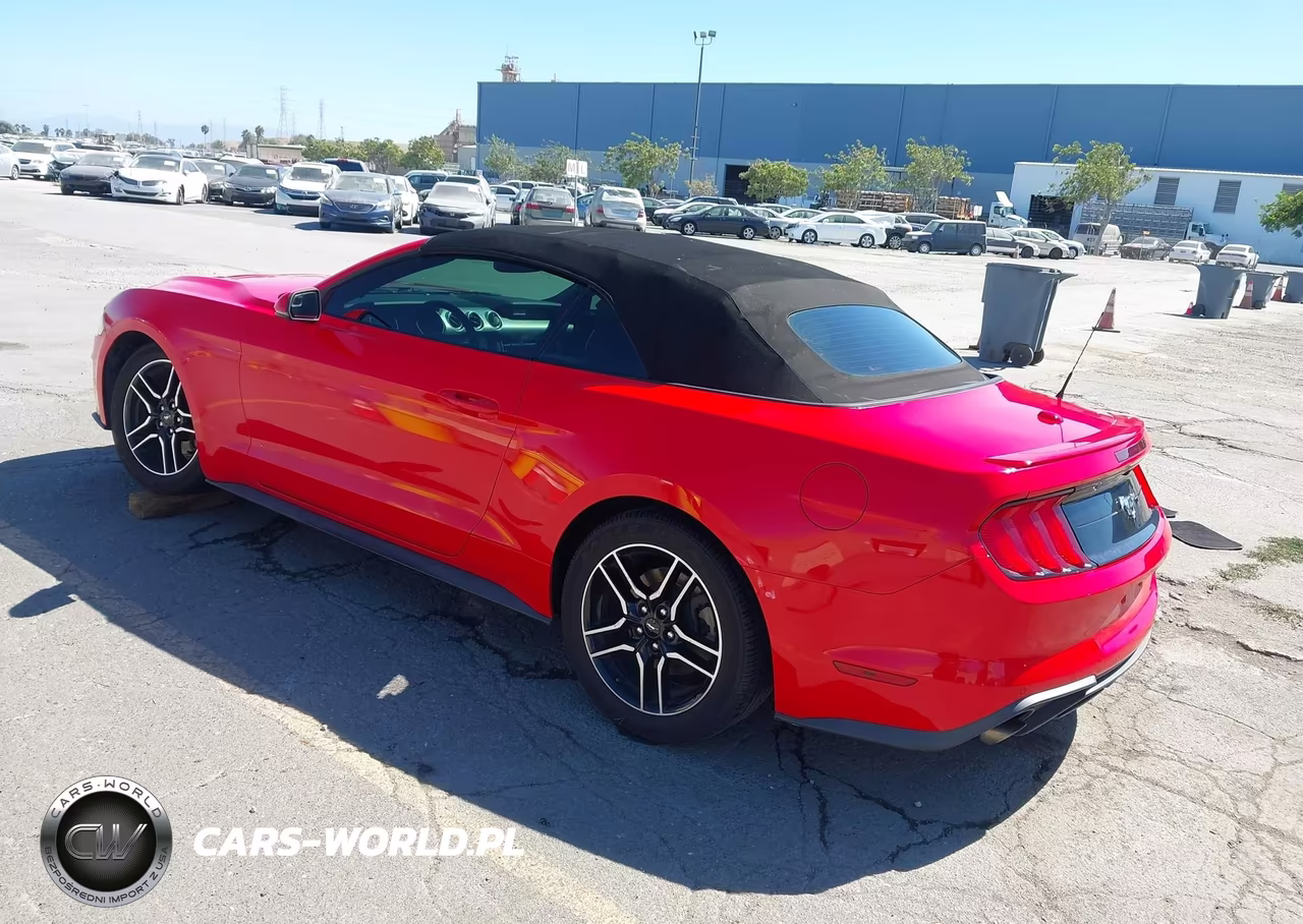 2019 Ford Mustang Ecoboost Premium VIN:1FATP8UH0K5171026 - 3