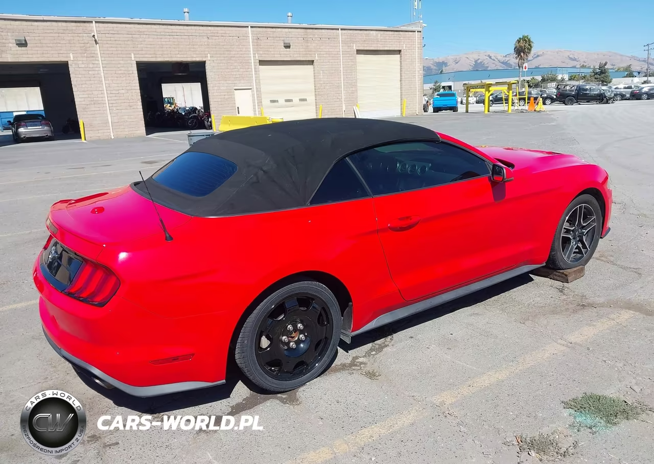 2019 Ford Mustang Ecoboost Premium VIN:1FATP8UH0K5171026 - 4