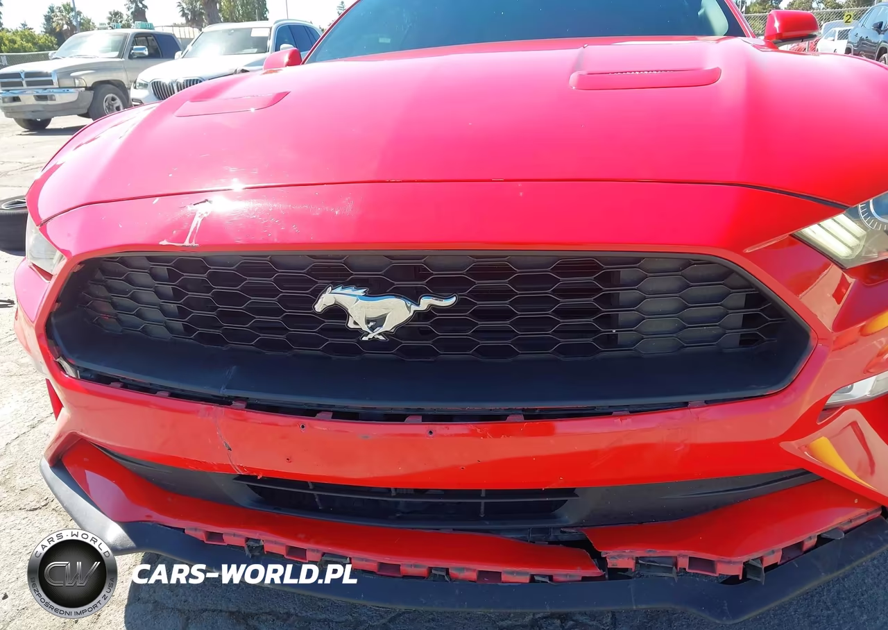 2019 Ford Mustang Ecoboost Premium VIN:1FATP8UH0K5171026 - 6
