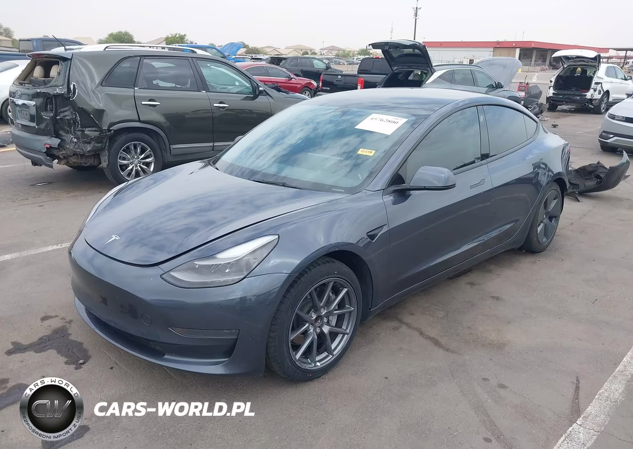 2023 Tesla Model 3 Rear-Wheel Drive VIN:5YJ3E1EAXPF412153 - 2