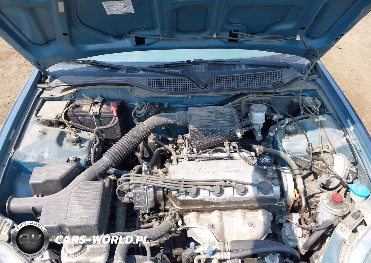 1998 Honda Civic Lx VIN:2HGEJ6672WH533886 - 10