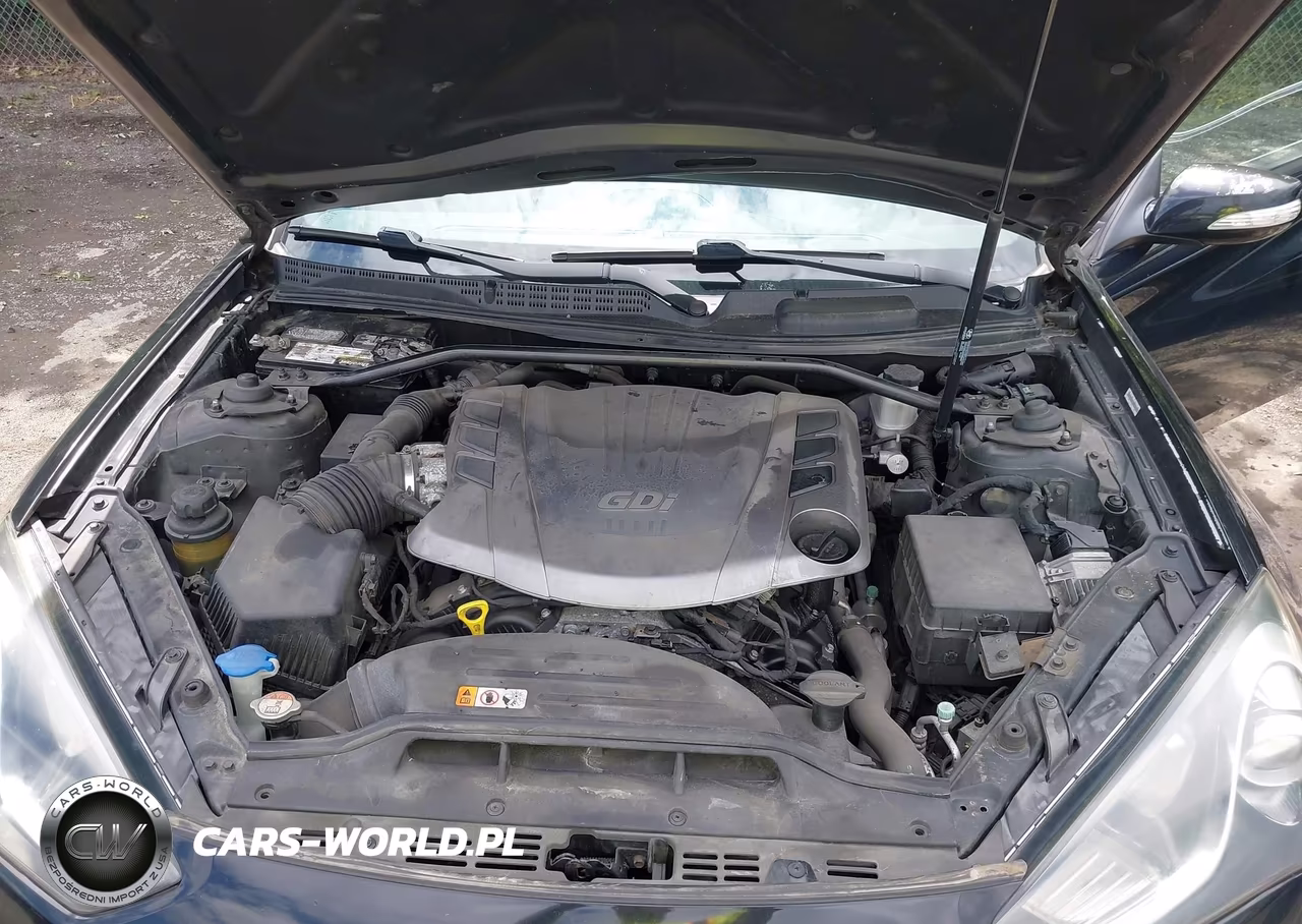2013 Hyundai Genesis 3.8 Track VIN:KMHHU6KJ6DU108147 - 10