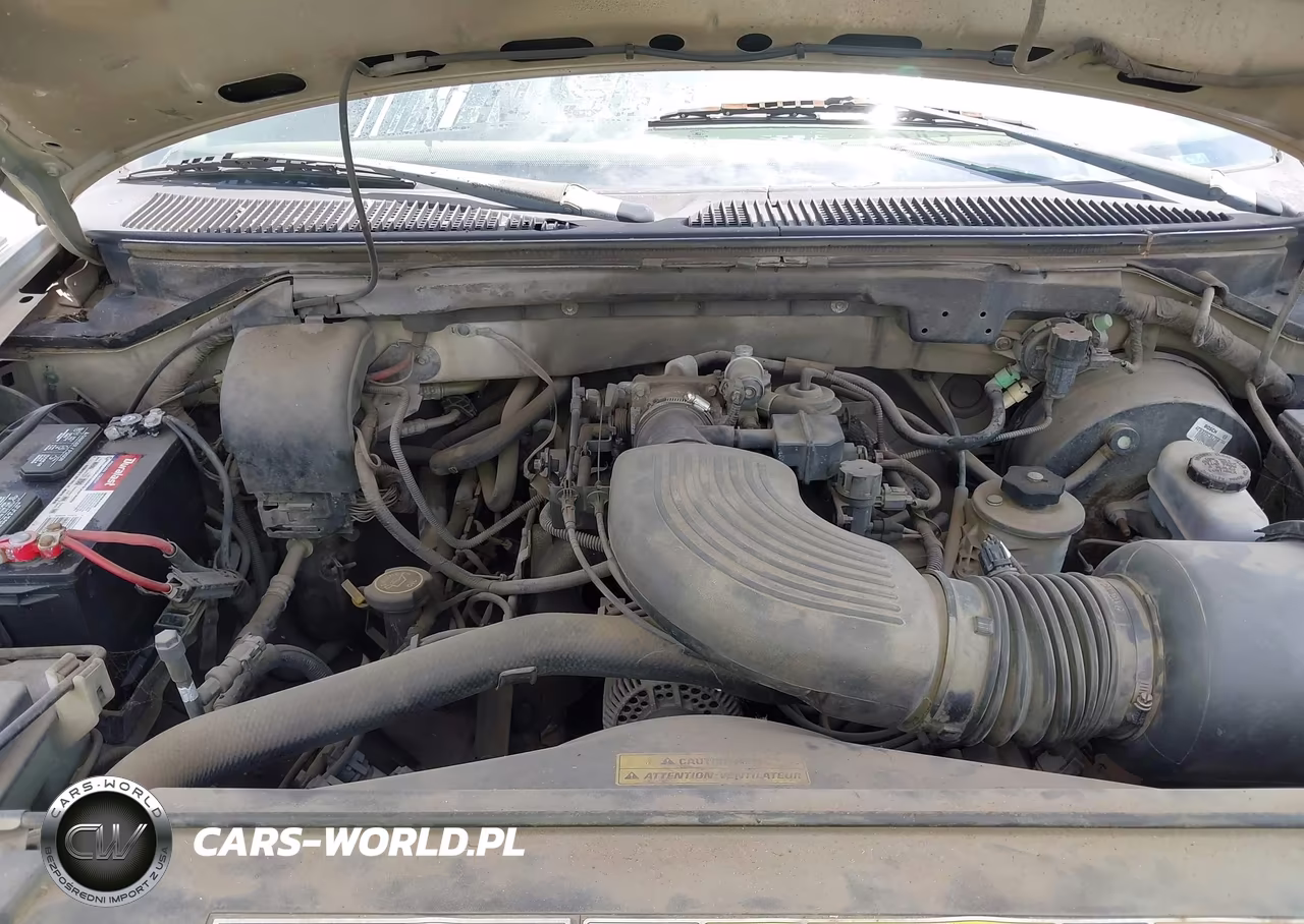 1999 Ford F-150 Lariat-Work Series-Xl-Xlt VIN:1FTRX17W6XKA65744 - 10