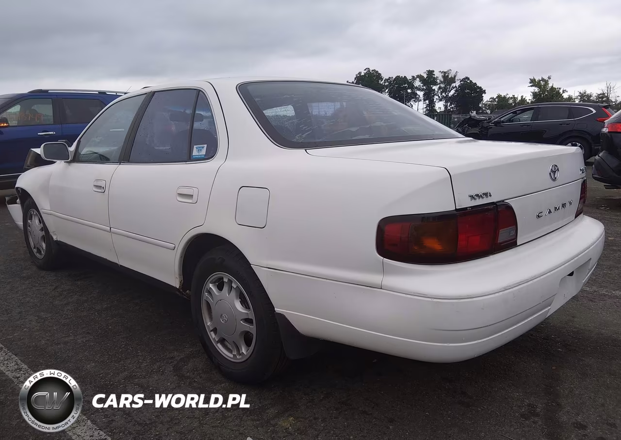 1995 Toyota Camry Xle VIN:4T1GK13E4SU858486 - 3