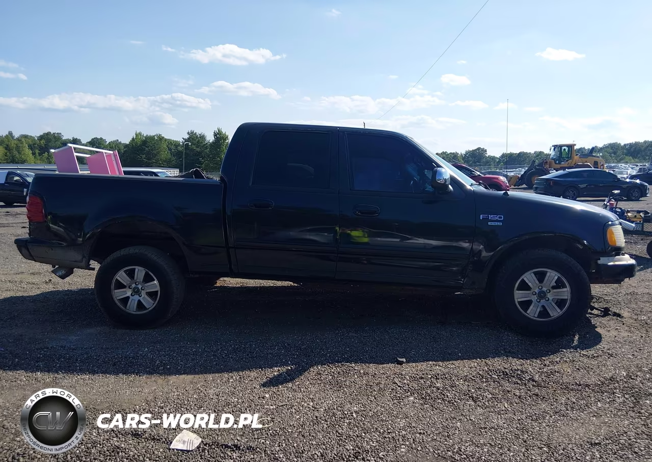2001 Ford F-150 Harley-Davidson Edition-King Ranch Edition-Lariat-Xlt VIN:1FTRW07W21KD99614 - 12