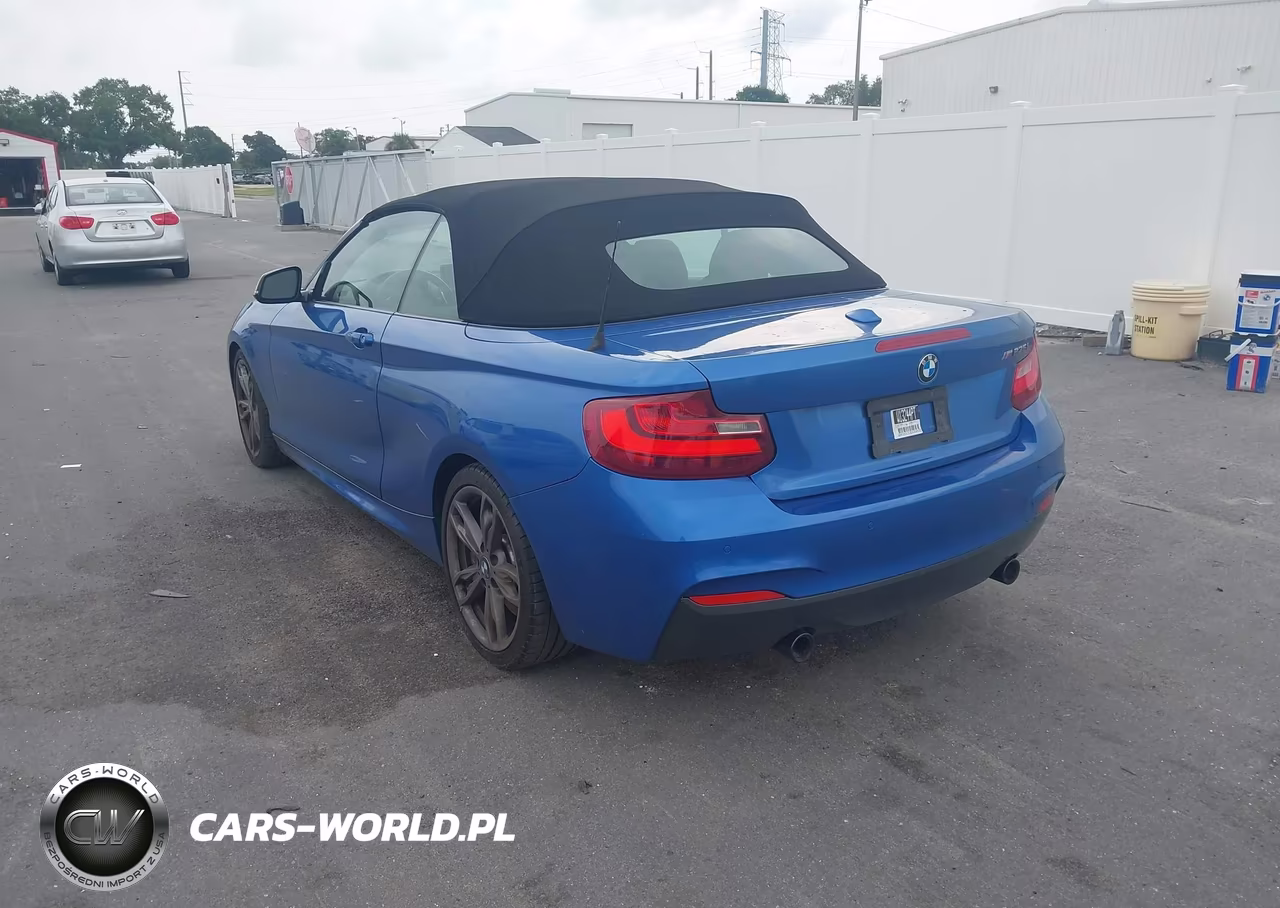 2016 BMW M235I VIN:WBA1M1C53GV394593 - 3