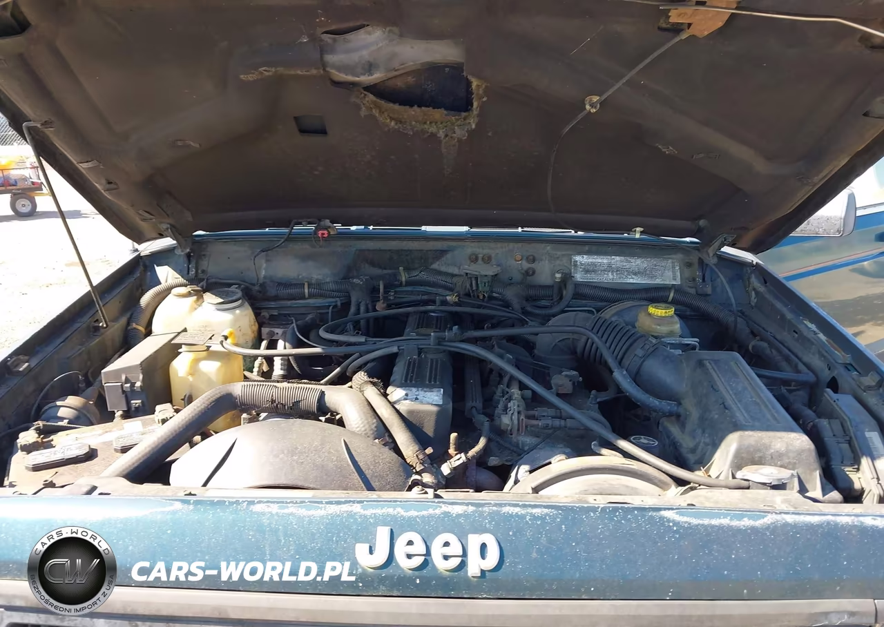 1995 Jeep Cherokee Sport VIN:1J4FJ68S1SL623154 - 10