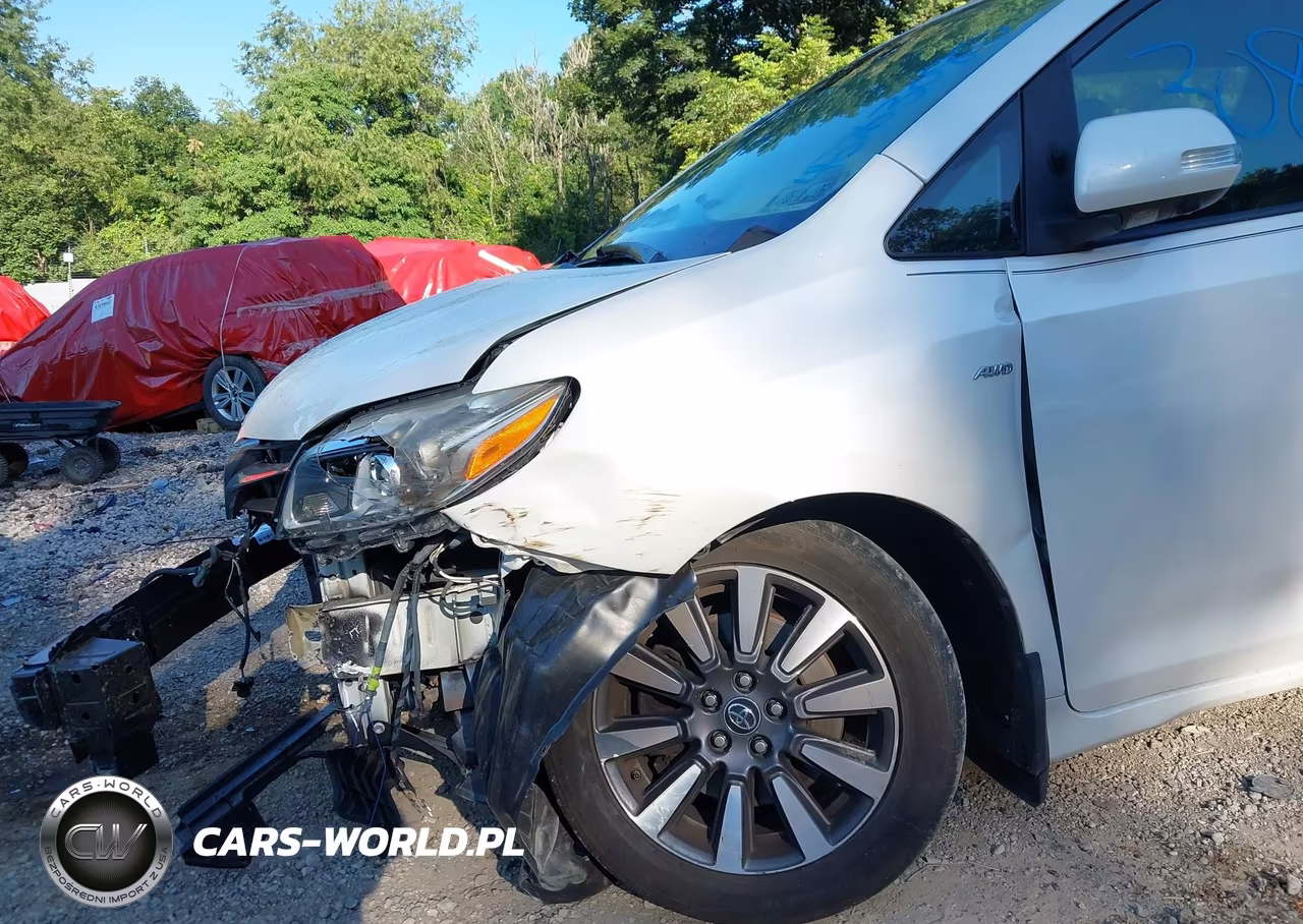 2019 Toyota Sienna Limited Premium 7 Passenger VIN:5TDDZ3DC3KS218530 - 6