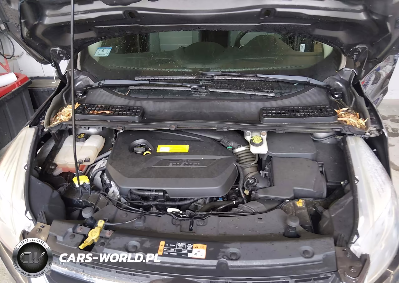 2015 Ford Escape Se VIN:1FMCU9GX0FUC53373 - 10