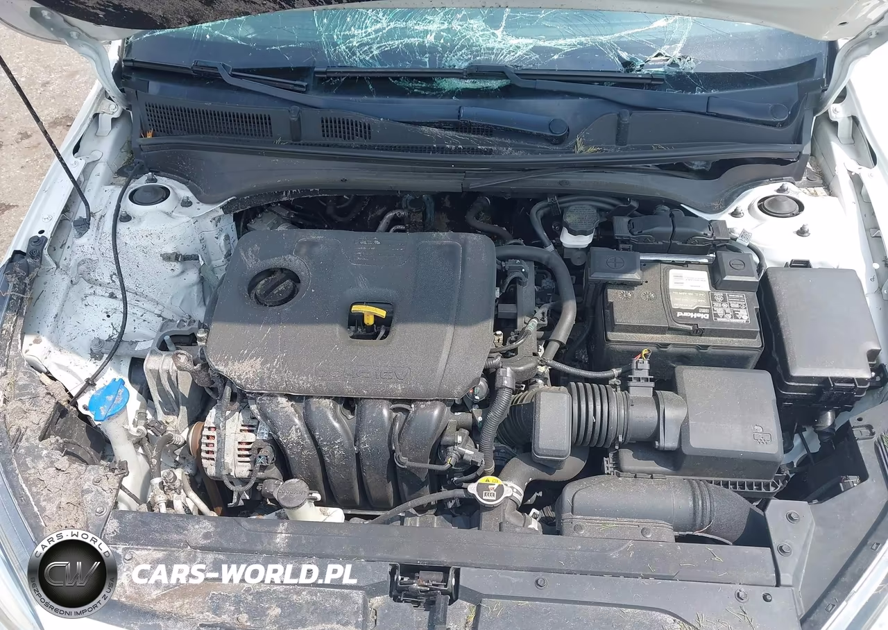 2019 Kia Forte Lxs VIN:3KPF24AD6KE104841 - 10
