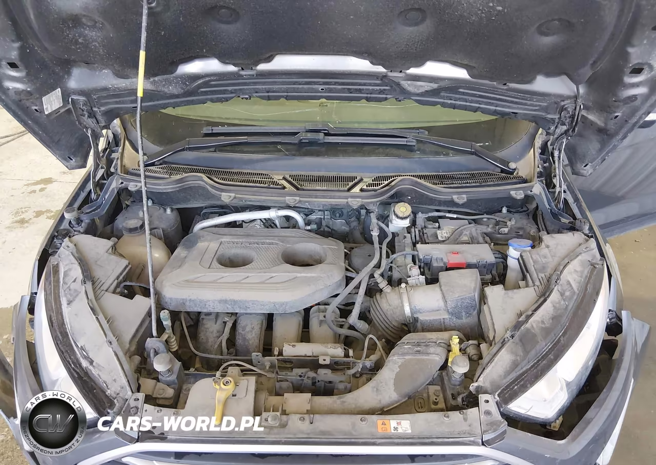 2019 Ford Ecosport Se VIN:MAJ6S3GL2KC257447 - 10
