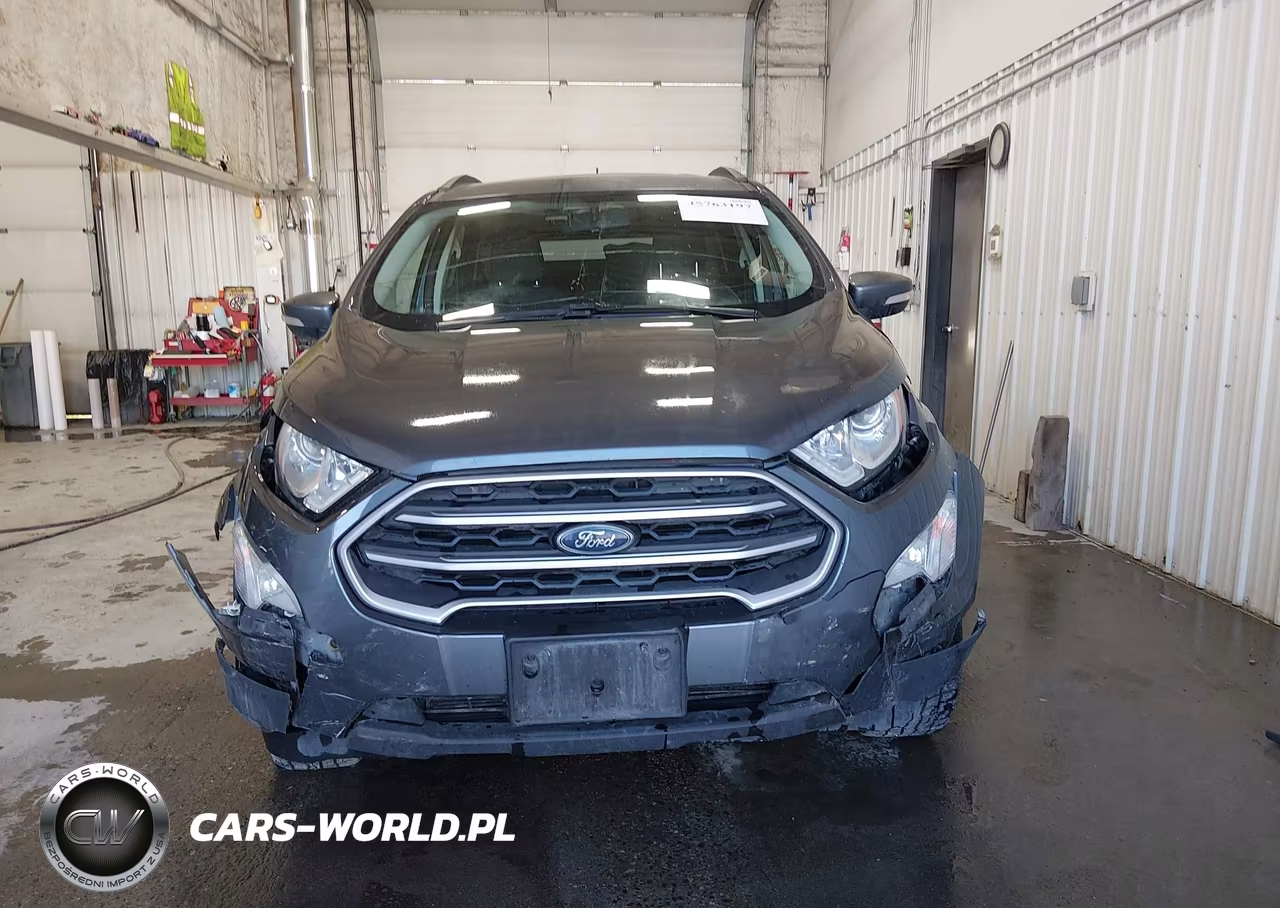 2019 Ford Ecosport Se VIN:MAJ6S3GL2KC257447 - 12