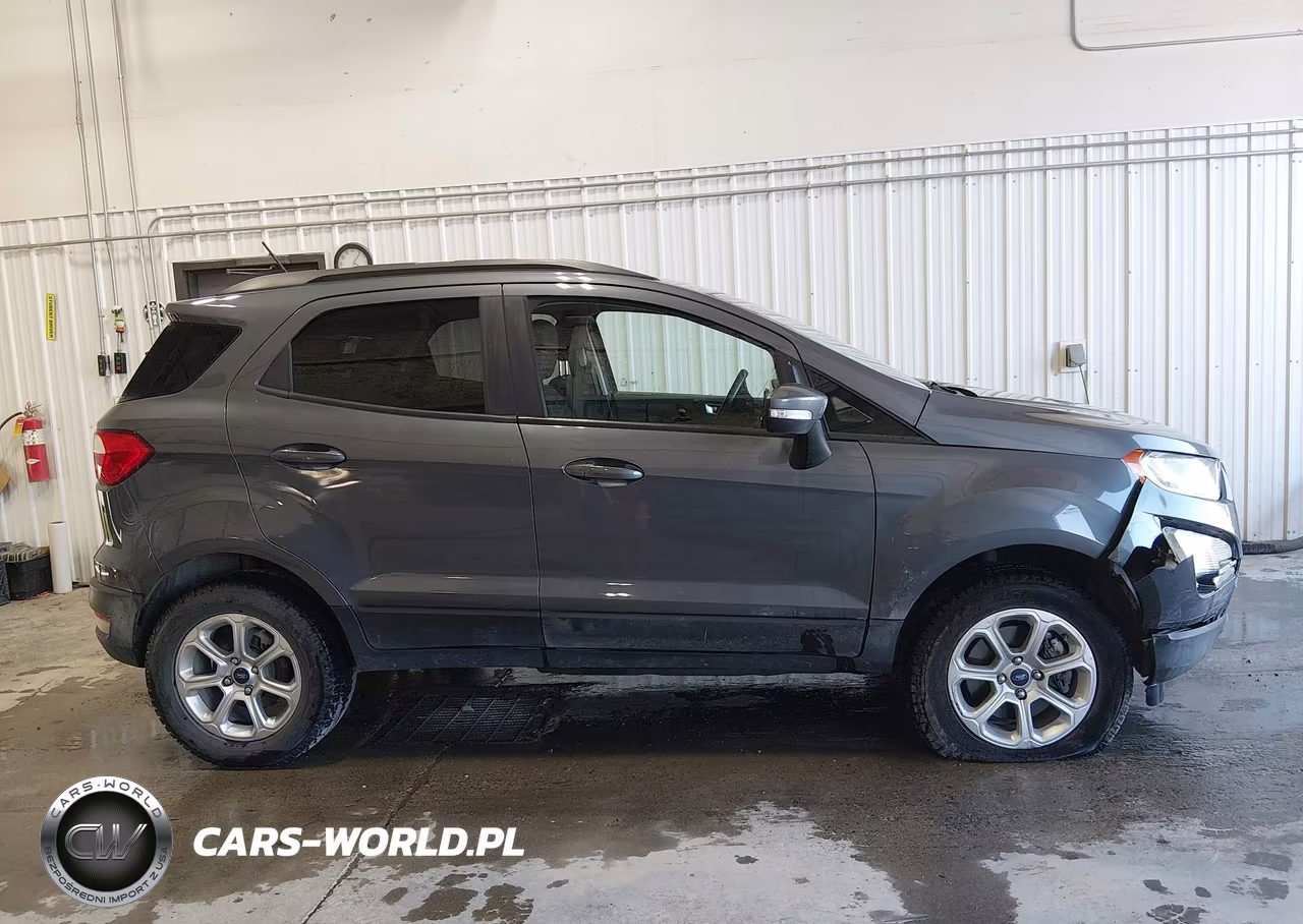 2019 Ford Ecosport Se VIN:MAJ6S3GL2KC257447 - 13