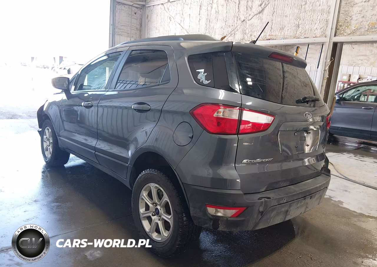 2019 Ford Ecosport Se VIN:MAJ6S3GL2KC257447 - 3