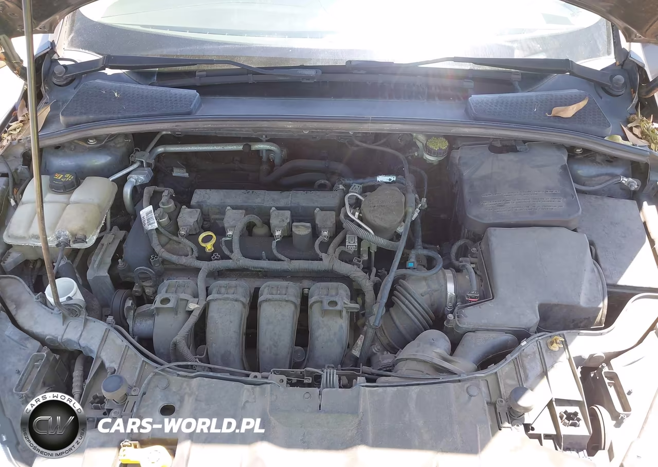 2015 Ford Focus Se VIN:1FADP3K23FL288767 - 10