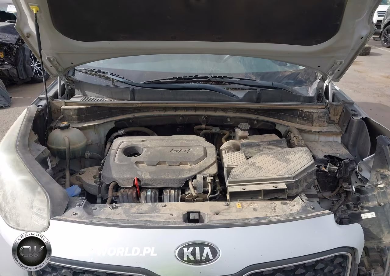 2019 Kia Sportage Lx VIN:KNDPM3ACXK7572202 - 10