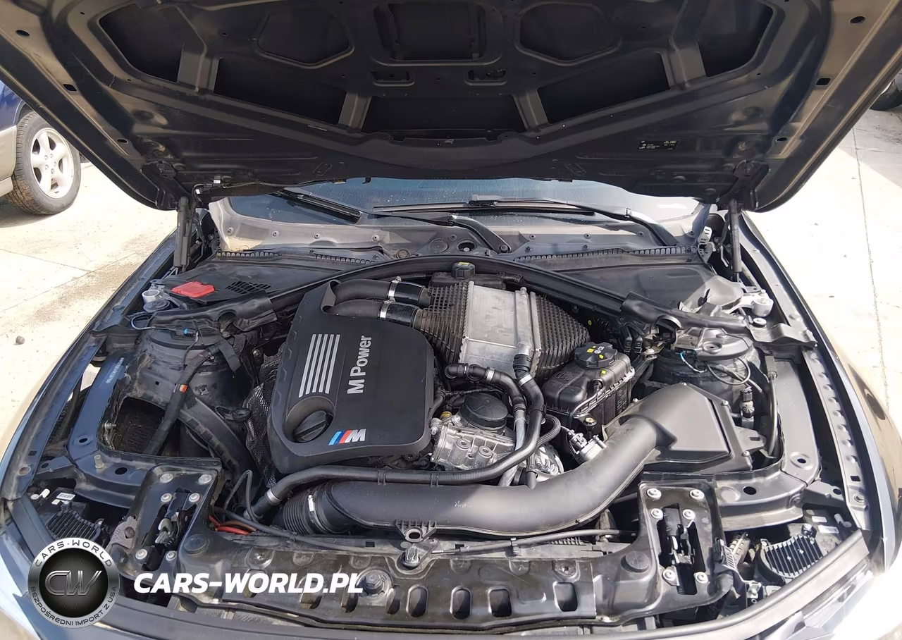 2016 BMW M4 VIN:WBS3R9C54GK338779 - 10