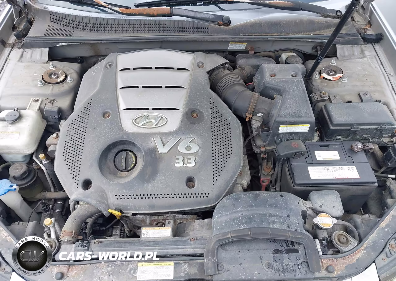 2006 Hyundai Sonata Gls V6-Lx V6 VIN:5NPEU46F16H047580 - 10