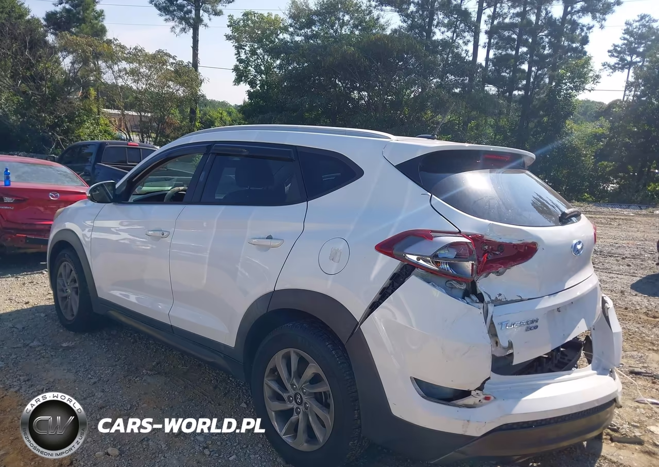 2016 Hyundai Tucson Eco VIN:KM8J33A2XGU030778 - 14