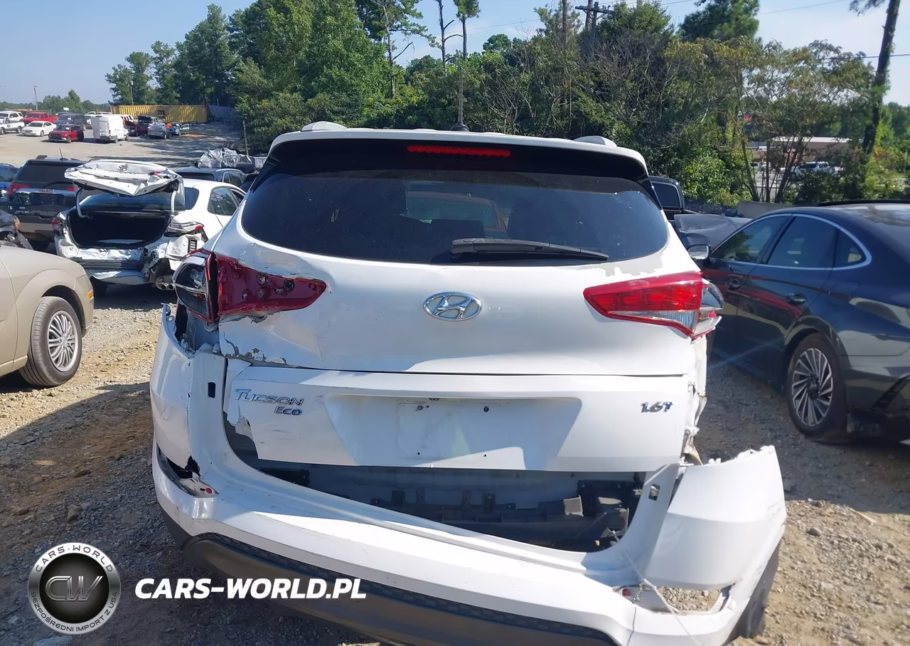 2016 Hyundai Tucson Eco VIN:KM8J33A2XGU030778 - 16