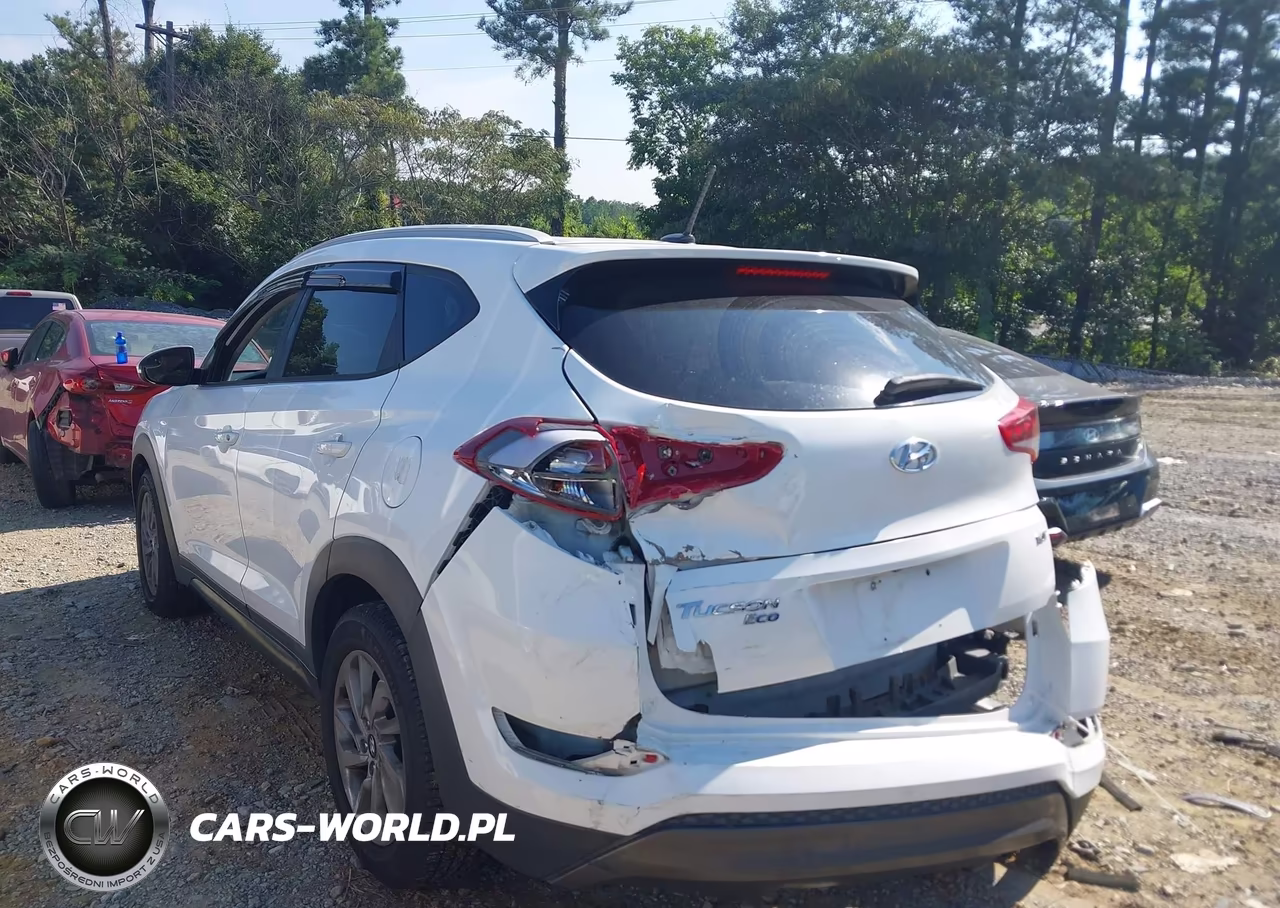 2016 Hyundai Tucson Eco VIN:KM8J33A2XGU030778 - 3