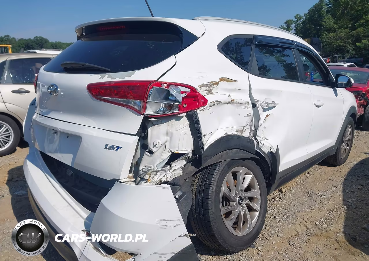 2016 Hyundai Tucson Eco VIN:KM8J33A2XGU030778 - 6