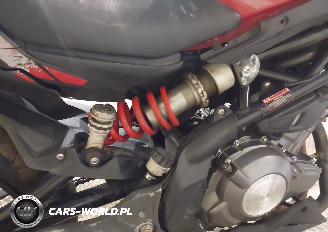 2022 Benelli 302S VIN:LBBPHE043NBD43952 - 15