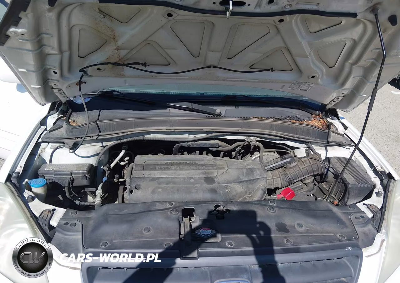 2004 Honda Pilot Ex VIN:2HKYF18464H574898 - 10