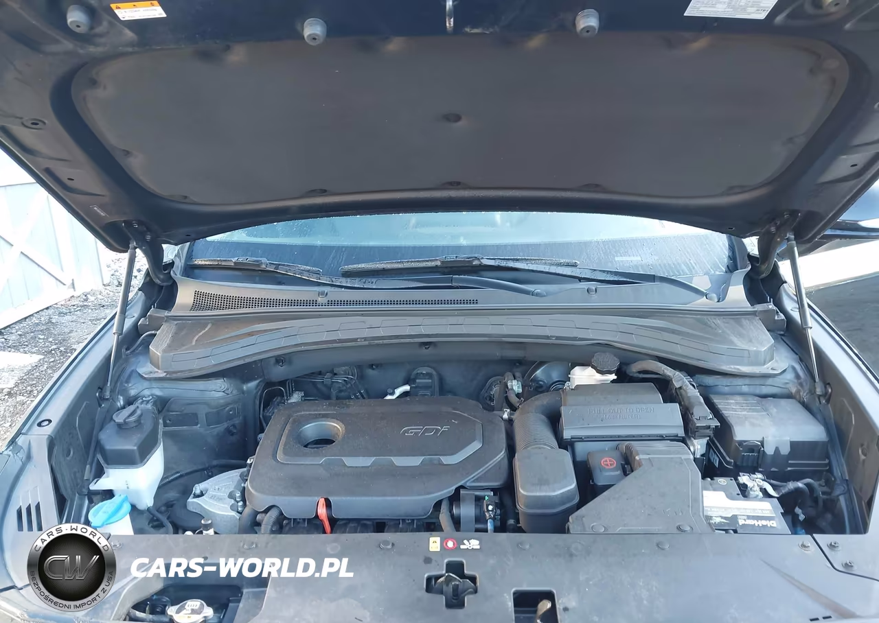 2020 Hyundai Santa Fe Sel VIN:5NMS3CAD3LH246581 - 10