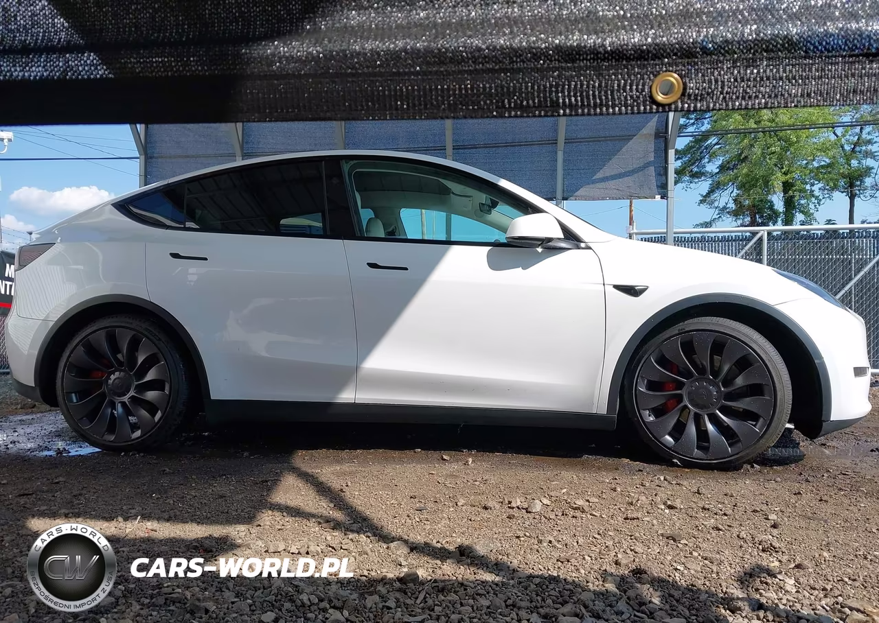 2025 Tesla Model Y Performance Dual Motor All-Wheel Drive VIN:7SAYGDEFXSA356138 - 13