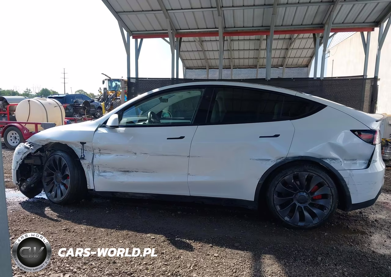 2025 Tesla Model Y Performance Dual Motor All-Wheel Drive VIN:7SAYGDEFXSA356138 - 14