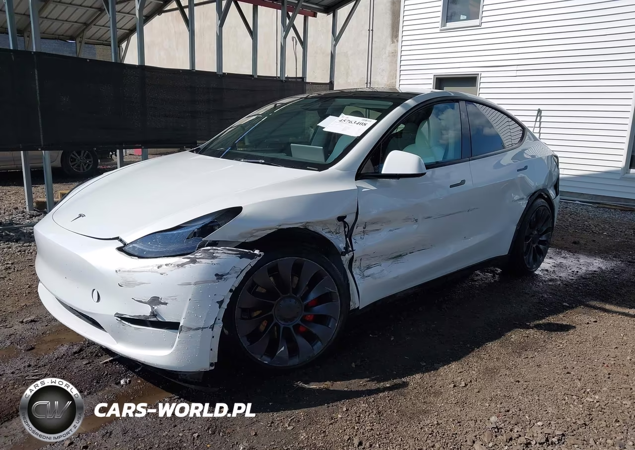 2025 Tesla Model Y Performance Dual Motor All-Wheel Drive VIN:7SAYGDEFXSA356138 - 2